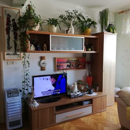 Cuore Di Umago Экстерьер фото